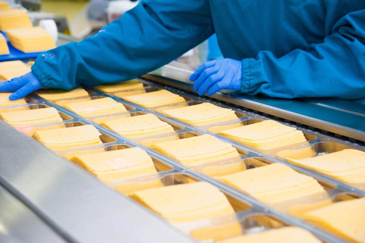 Industrial production of hard cheeses. Cheese is very tasty and healthy product