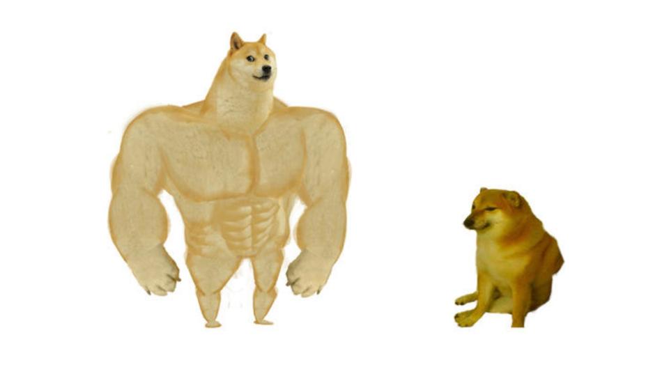 波子（右）和日本柴犬（左）的迷因在網上廣傳。