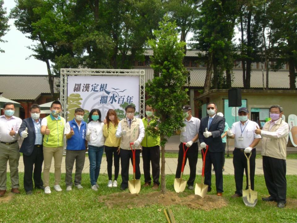 山上花園水道博物館再種下廿二棵羅漢松。（記者張淑娟攝）