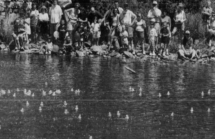 Spectators watch as rubber ducks float along the Raritan River during the Great Hunterdon Rubber Ducky Race.
