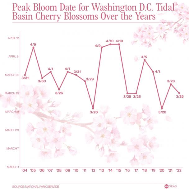 Peak bloom date for Washington D.C. Tidal Basin cherry blossoms over the years (ABC News)