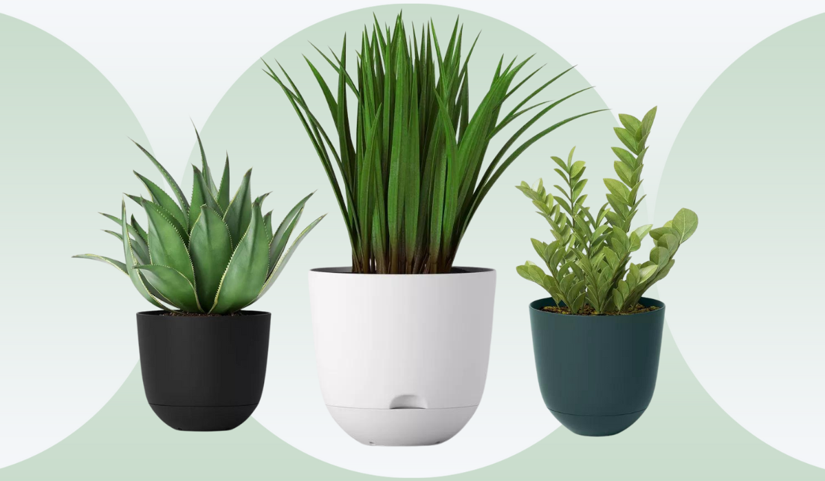 Target self-watering planters