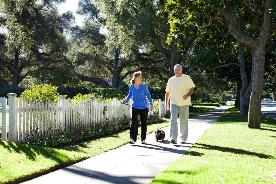 Couple walking dog on sidewalk in suburbs