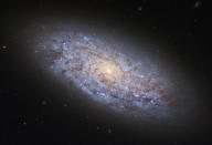 <p>The dwarf galaxy named NGC 5949 is seen in this NASA/ESA Hubble Space Telescope image released Aug. 11, 2017. (Photo: NASA/ESA/Hubble Space Telescope/Handout via Reuters) </p>