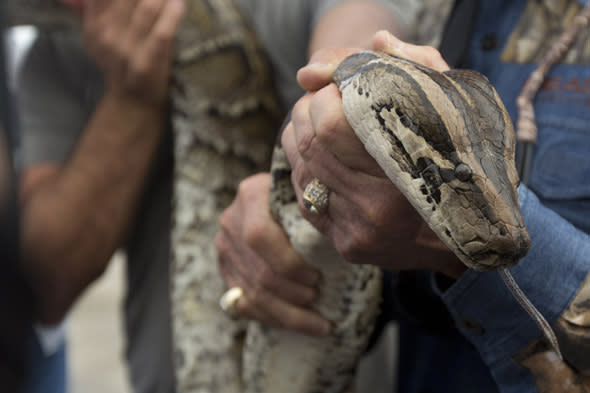 python strangles security guard near hotel indonesia