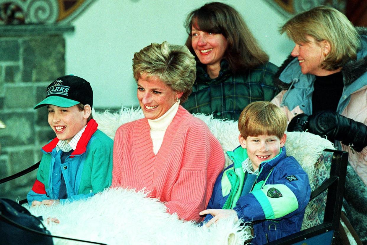 Princes William and Harry have revealed their regret at how short their final phone call was with their mother: PA