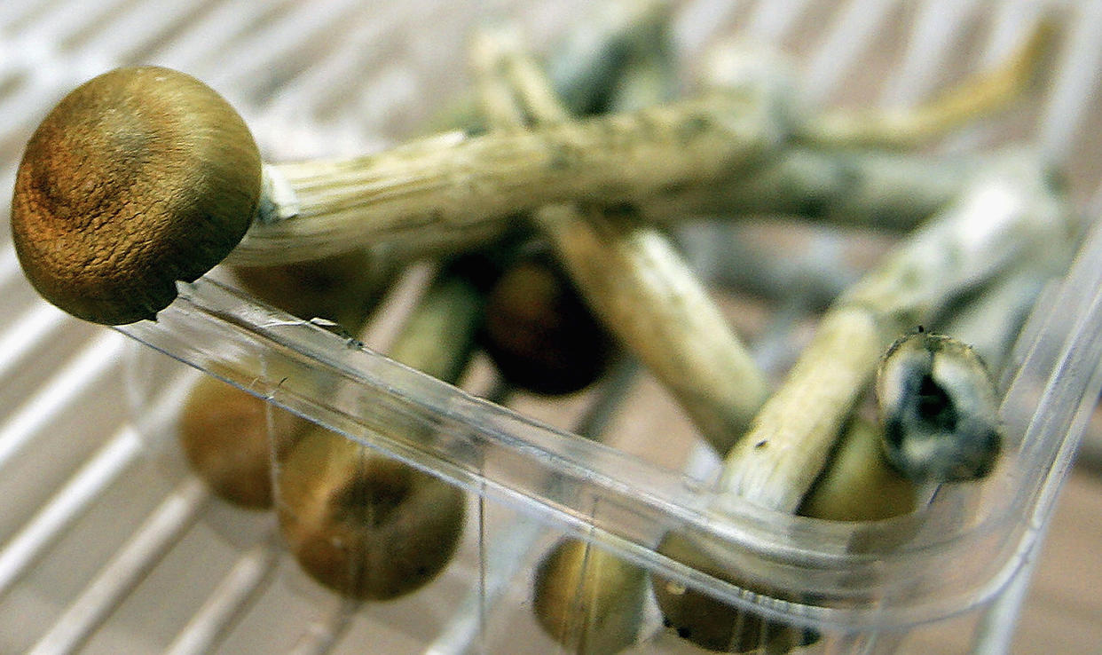 LONDON - JULY 18:  Magic Mushrooms sit in a fridge on July 18, 2005 in London, England. The sale of fresh mushrooms has been prohibited as of today due to the reclassification of the drug to Class A.  (Photo by Daniel Berehulak/Getty Images)