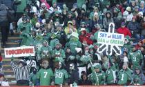 Saskatchewan Roughriders fans celebrate after a touchdown against the Calgary Stampeders during the first half of the CFL western final football game in Calgary, November 17, 2013. REUTERS/Todd Korol (CANADA - Tags: SPORT FOOTBALL)