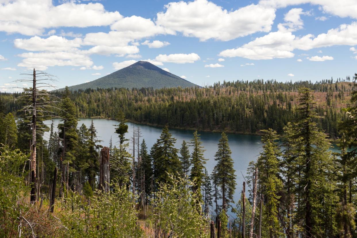 Suttle Lake landscape view from above. Mountain and hills covered by pine forest on a background Central Oregon, USA: Getty Images/iStockphoto