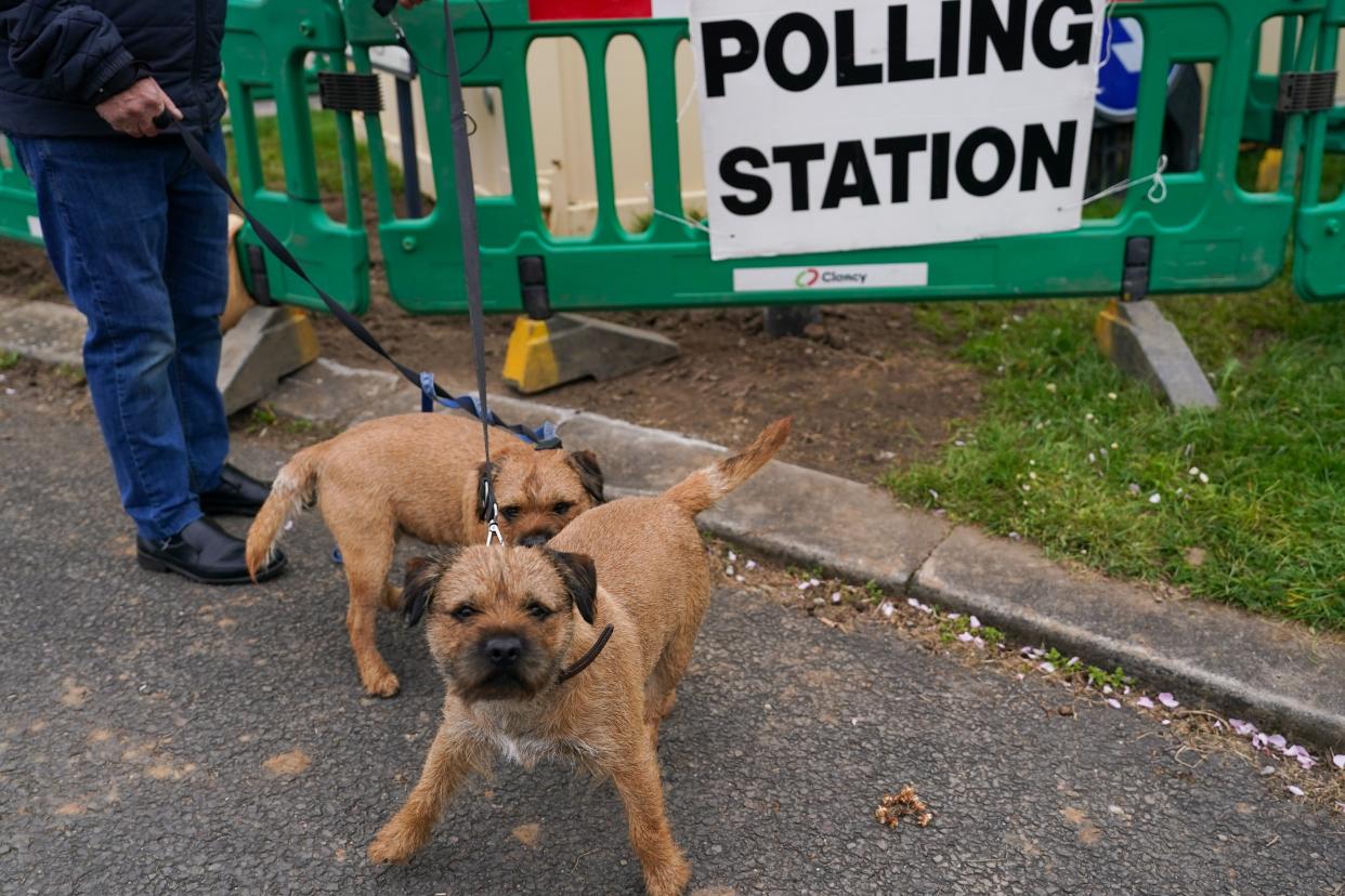 Two dogs stand with their owner as people go to the polls in the local elections in Middlesbrough (Getty Images)