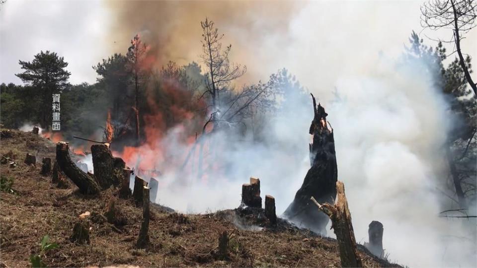 防止森林浩劫　國家公園禁止生明火燃放炮竹