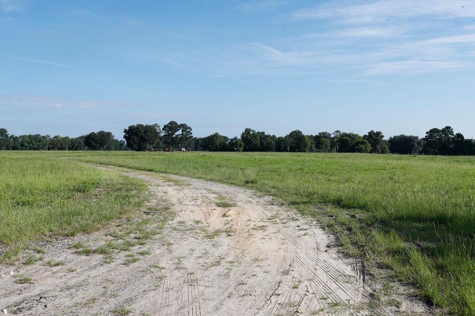 This former farmland along Ogeechee and Little Neck Roads is set to be transformed into a large housing development.