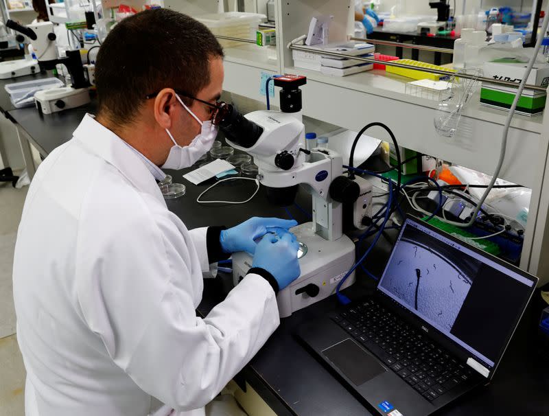 Hirotsu Bio Science Chief Technical Officer Eric Di Luccio examines nematodes in a petri dish during a photo opportunity at the company's lab in Fujisawa