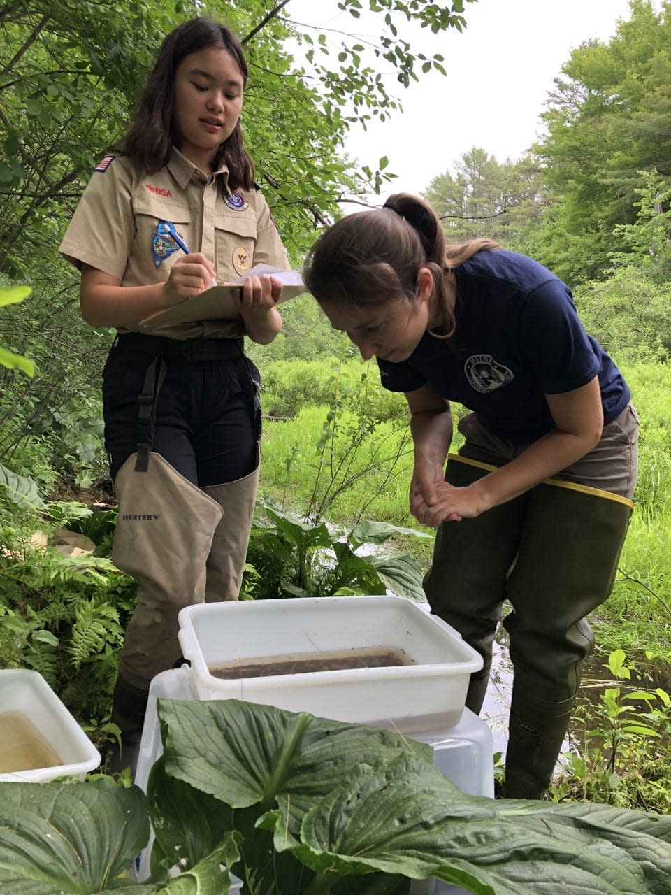 Local Girl Scout Aroha Walsh, left, and Tessa Houston, of the Maine Conservation Corps, collect samples from a stream off Brown Street in Kennebunk on June 23, 2022.