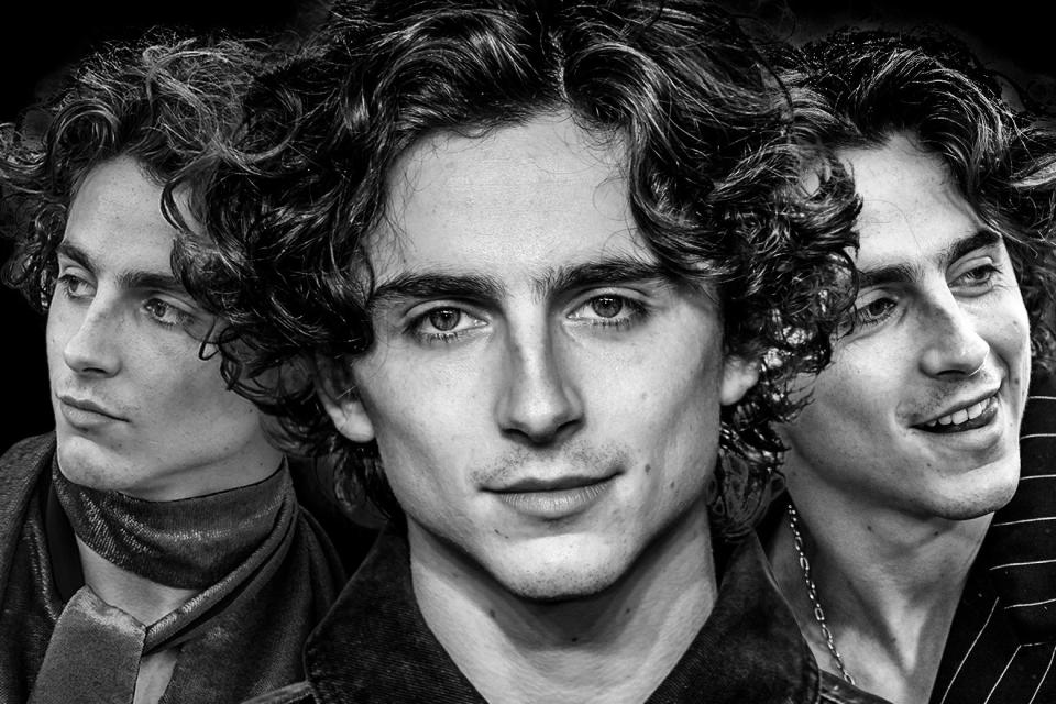 A triptych of the face of Timothee Chalamet: as somber-looking Willy Wonka, impish hip-hop fan, and moody art-house movie boi.