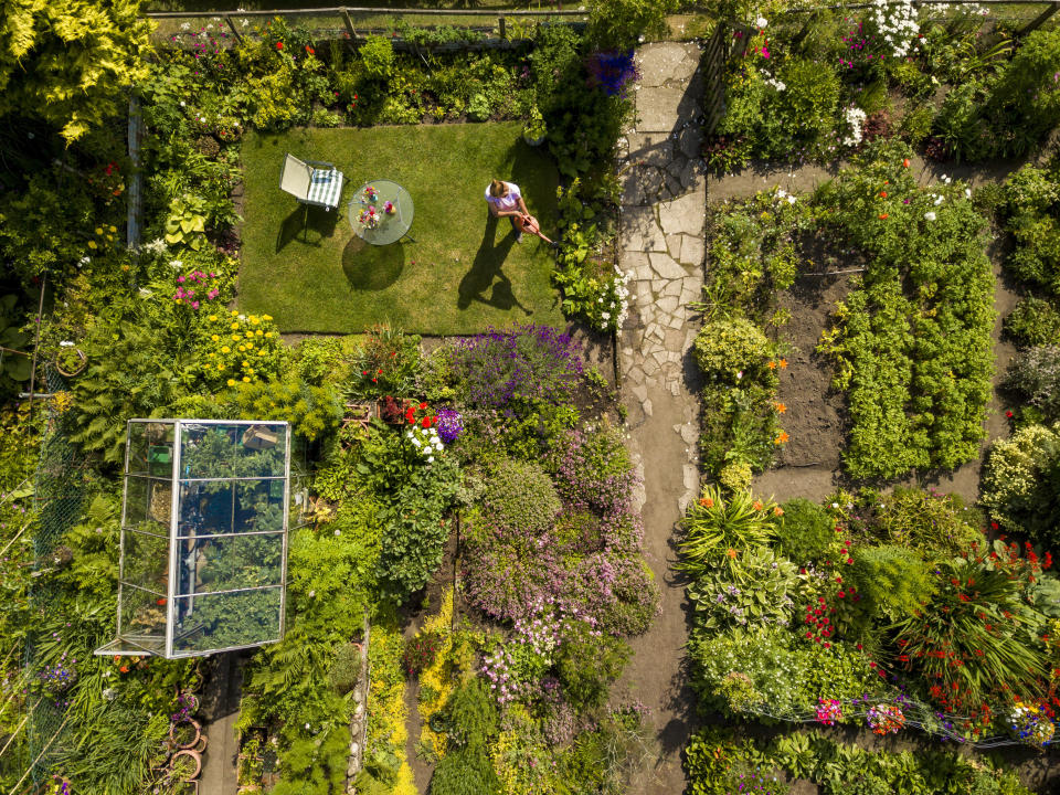 Demand for allotment plots has surged during coronavirus pandemic, pictured Moncrieffe Island Allotments, Perth. (SWNS)