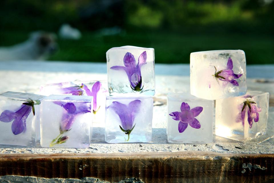 <strong>Get the <a href="http://mimithorisson.com/2012/05/26/bellflowers-ice-cubes/" target="_blank">Bellflower Ice Cubes recipe</a> from Manger</strong>