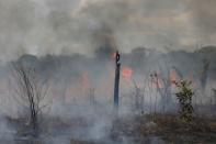 Fires surge in Brazilian Amazon for the third straight year in Labrea