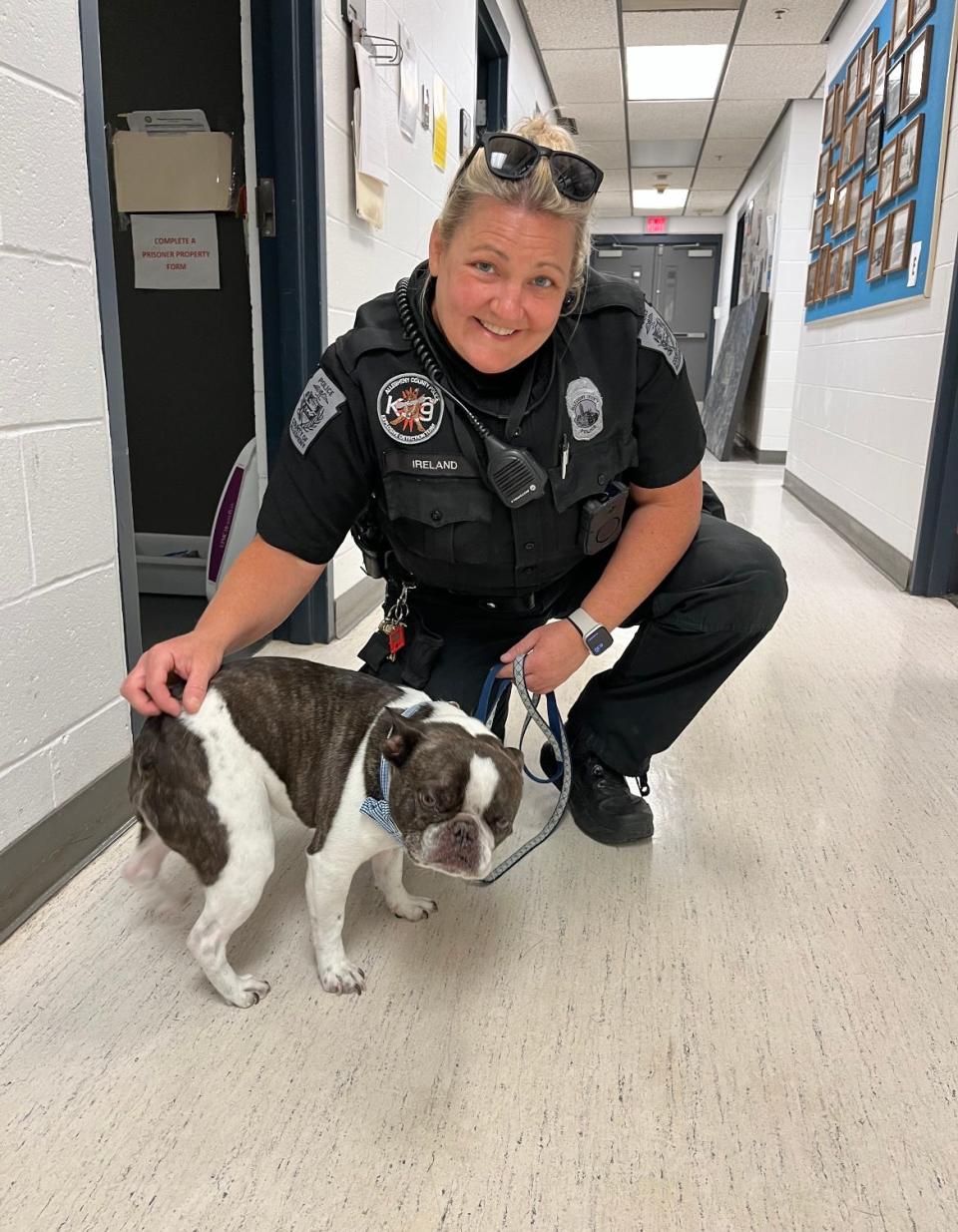 A woman left her dog near the parking lot when on her way to a resort destination.