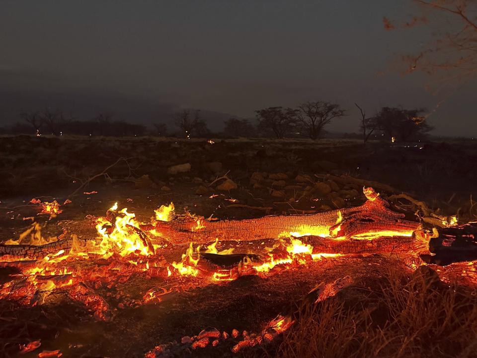 A wildfire burns in Kihei, Hawaii.