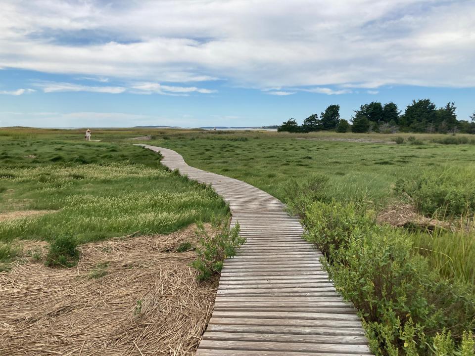 Boardwalk to the bay at the Mass Audubon Wellfleet Bay Wildlife Sanctuary.