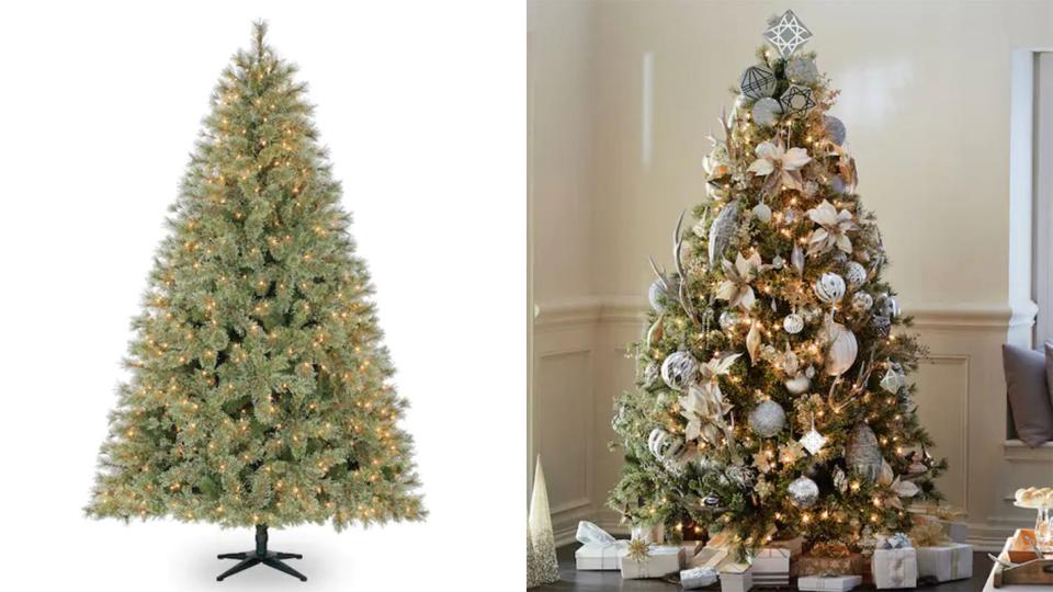 'Tis the season to be thinking about Christmas trees.