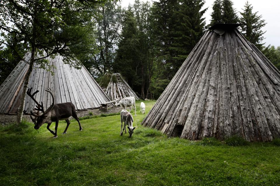 Sami camp