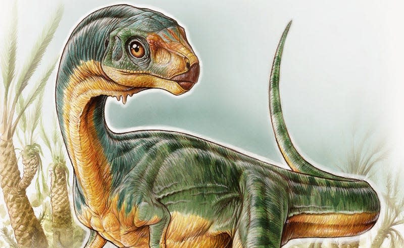 Artist’s impression of Chilesaurus diegosuarezi.