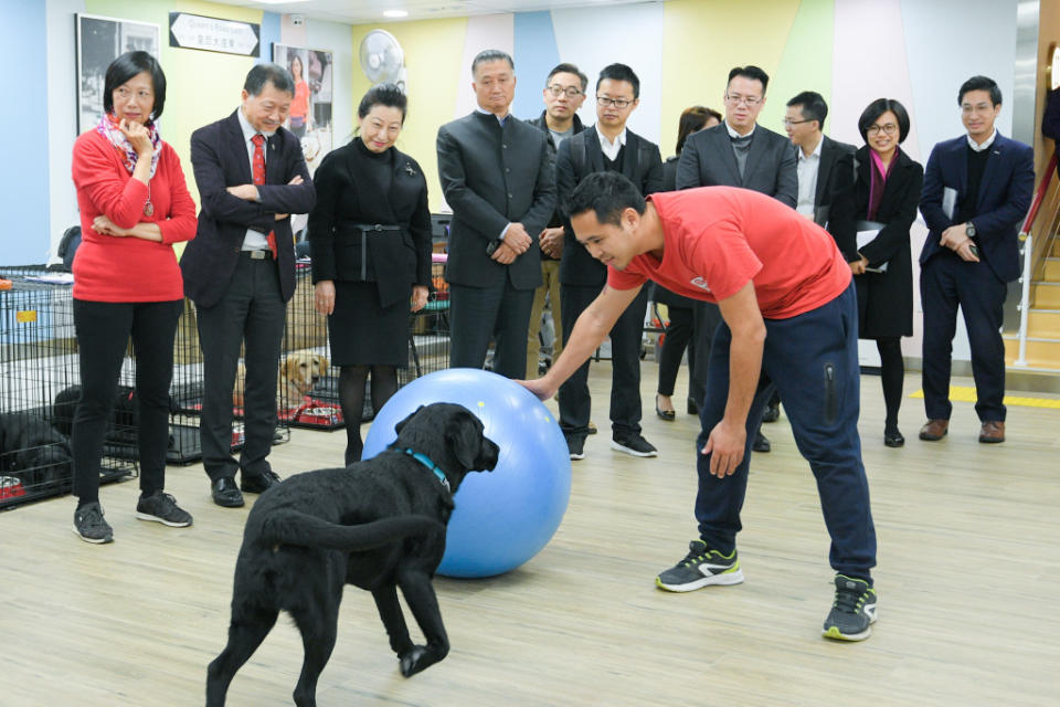 鄭若驊（左三）上周四到訪香港導盲犬協會賽馬會教育及培訓中心，觀看訓練員示範訓練導盲犬。政府新聞處圖片