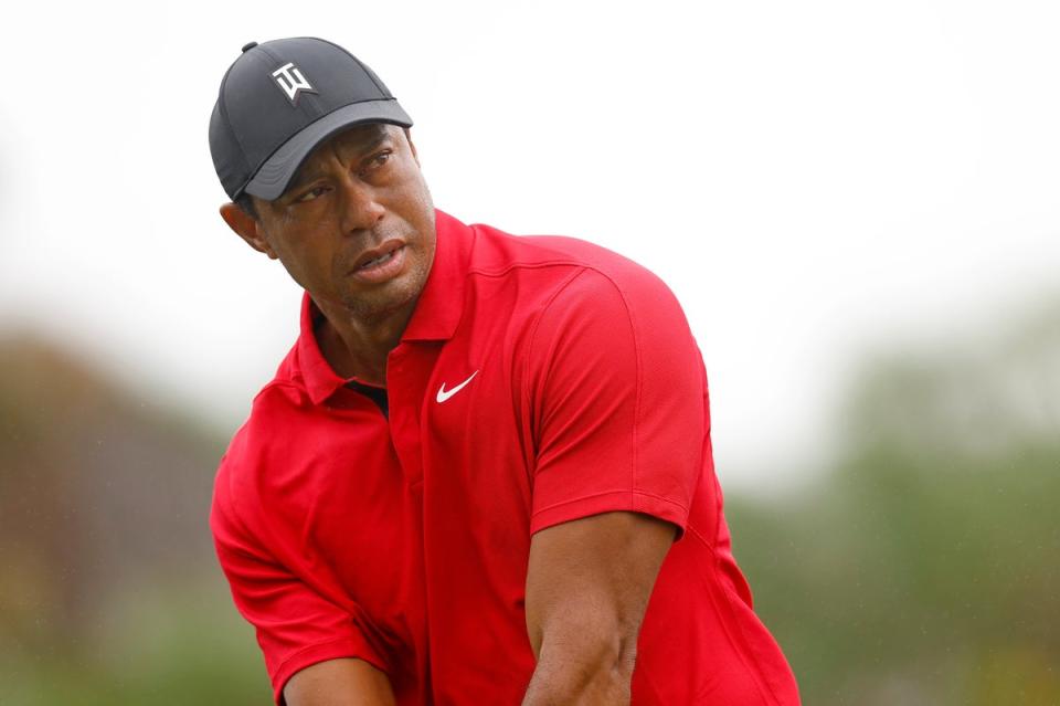 Tiger Woods has been sponsored by Nike throughout his career  (Getty Images)