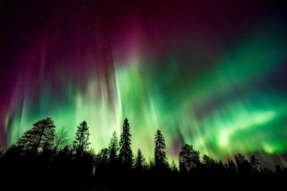 Here is how you could catch a glimpse of the Northern Lights tonight. <i>(Image: Canva)</i>