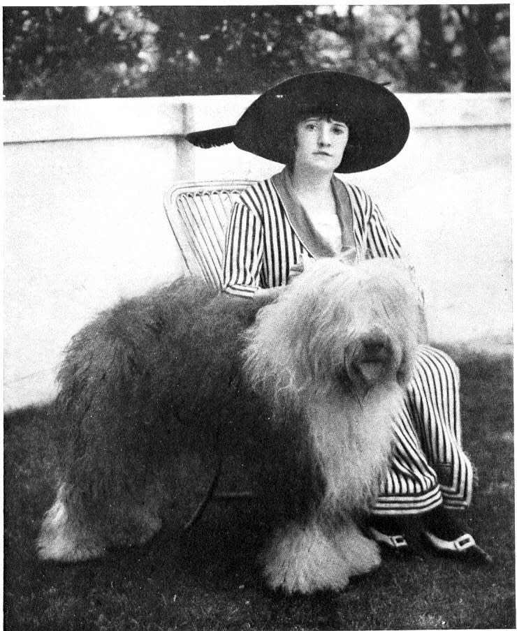 This 1914 publicity photo provided by the Westminster Kennel Club shows the 1914 Westminster Best In Show winner, Slumber. Sheepdogs have been recognized by the American Kennel Club since the late 1800's and won best in show at Westminster in 1914 and 1975. Breeders in the United States and England are concerned about the drop in the number of purebred sheepdog puppies registered in the two countries each year, as more owners choose smaller dogs like pocket pets and designer puppies. (AP Photo/Westminster Kennel Club)