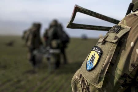 Ukraine's voluntary militia called the Azov Battalion holds artillery training in east Ukraine's village of Urzuf that sits west of the port city of Mariupol on the Azov Sea, March 19, 2015. REUTERS/Marko Djurica