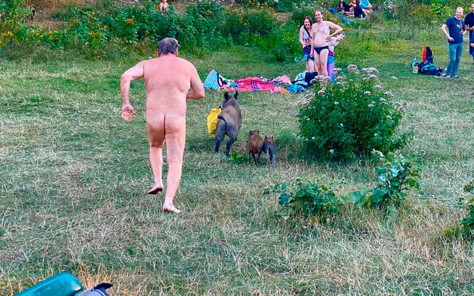 EDITORS NOTE: Graphic content / This handout picture taken on August 5, 2020 and made available by @adelelandauer_lifecoach shows a naked sunbather giving chase in his birthday suit after a wild boar stole his laptop while he was relaxing by the Teufelsee lake in Berlin, an escapade that has gone viral. - The man was pictured running after the cheeky swine at the Teufelssee lake, a popular spot for nude sunbathing in the German capital. Adele Landauer, the Berlin-based life coach who took the pictures, shared them on her Instagram account on Friday, describing the man as a "real hero". (Photo by Adele Landauer / @adelelandauer_lifecoach / AFP) / RESTRICTED TO EDITORIAL USE - MANDATORY CREDIT "AFP PHOTO /ADELE LANDAUER/@adelelandauer_lifecoach" - NO MARKETING - NO ADVERTISING CAMPAIGNS - DISTRIBUTED AS A SERVICE TO CLIENTS (Photo by ADELE LANDAUER/@adelelandauer_lifecoach/AFP via Getty Images) - ADELE LANDAUER /AFP