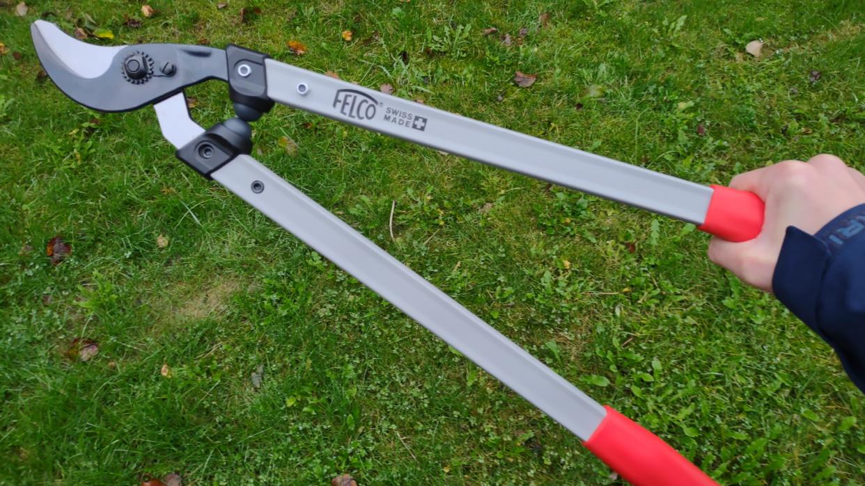  Our reviewer holding the Felco 211-60, on a lawn. . 