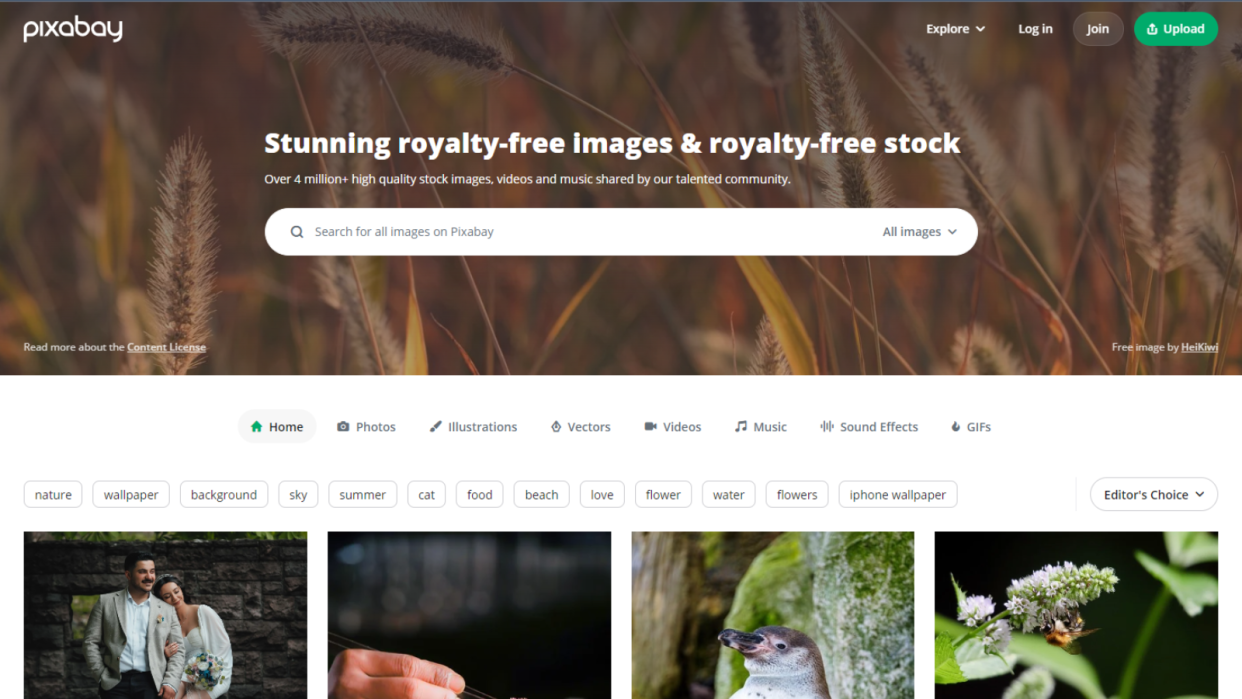  Pixabay royalty-free stock media site during our review process 