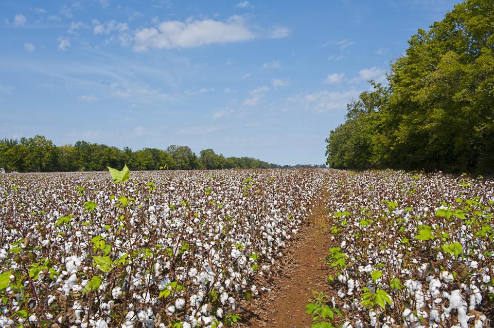 Central, Louisiana