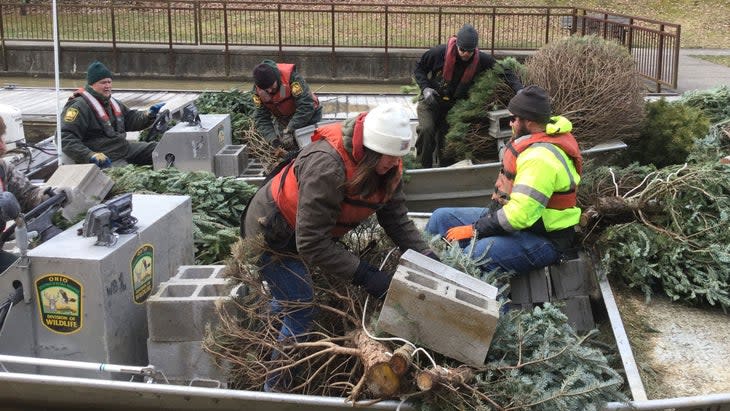 <span class="article__caption">Wayne National Forest employees ready the trees for submerging. </span> (Photo: Ashley Kuflewski/U.S. Forest Service)