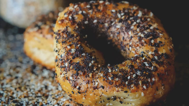 Bagelfelds everything bagel