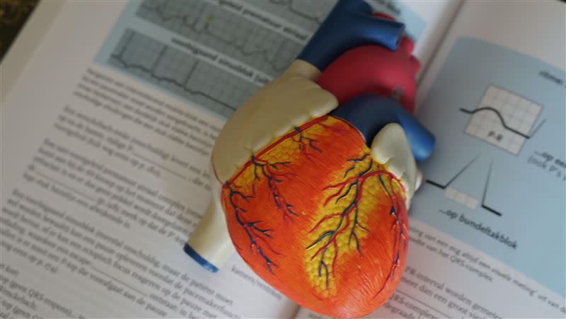主動脈是連接左心室的大血管，高血壓和血管硬化是非常危險的致命元兇。（圖／翻攝自unsplash）