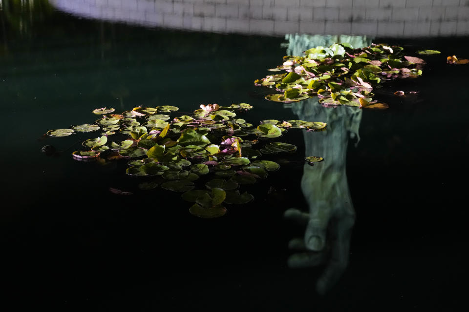 Lily pads float over the reflection of the Holocaust Memorial during an event commemorating Kristallnacht, the 1938 government-backed pogroms against Jews in Germany and Austria, in Miami Beach, Fla., Sunday, Nov. 5, 2023. (AP Photo/Rebecca Blackwell)