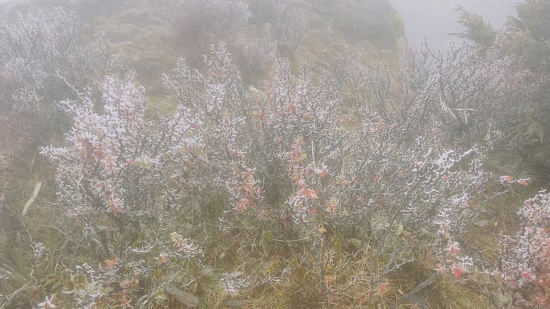 玉山北峰霧淞（1） 中央氣象署表示，6日凌晨3時09分，玉山氣象站最低 溫度攝氏零下6.6度，玉山北峰觀測到霧淞。 （氣象署提供） 中央社記者張雄風傳真  112年12月6日 