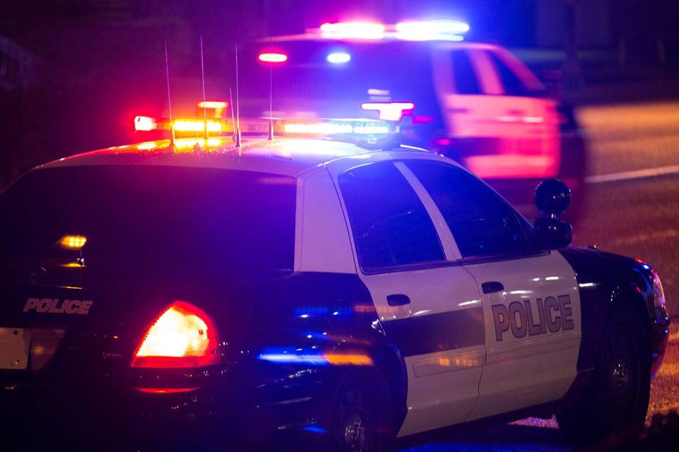 <p>Getty</p> Stock image of police cars