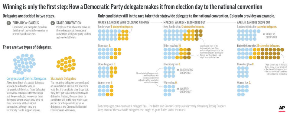 How delegates are allocated in the Democratic Party process;