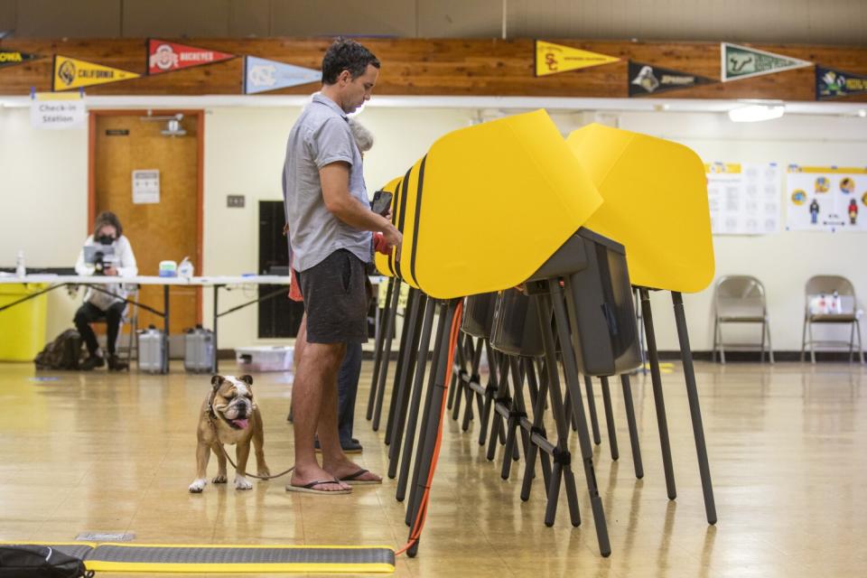 Cameron Porsandeh votes in the primary election with his English bulldog at his side.