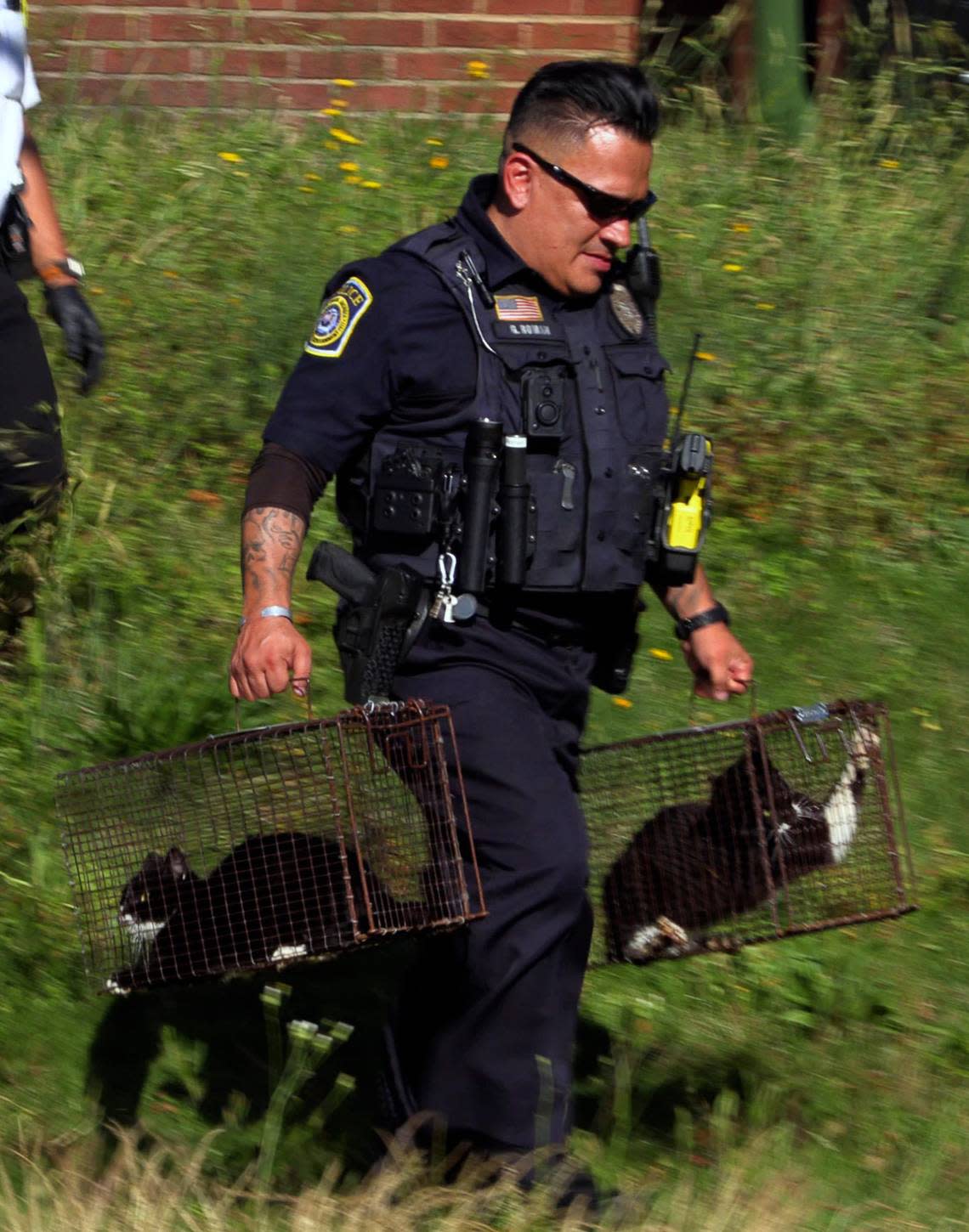 A Columbus police officer removes two of an estimated 20 cats from a Columbus, Georgia house Monday afternoon. 04/22/2024
