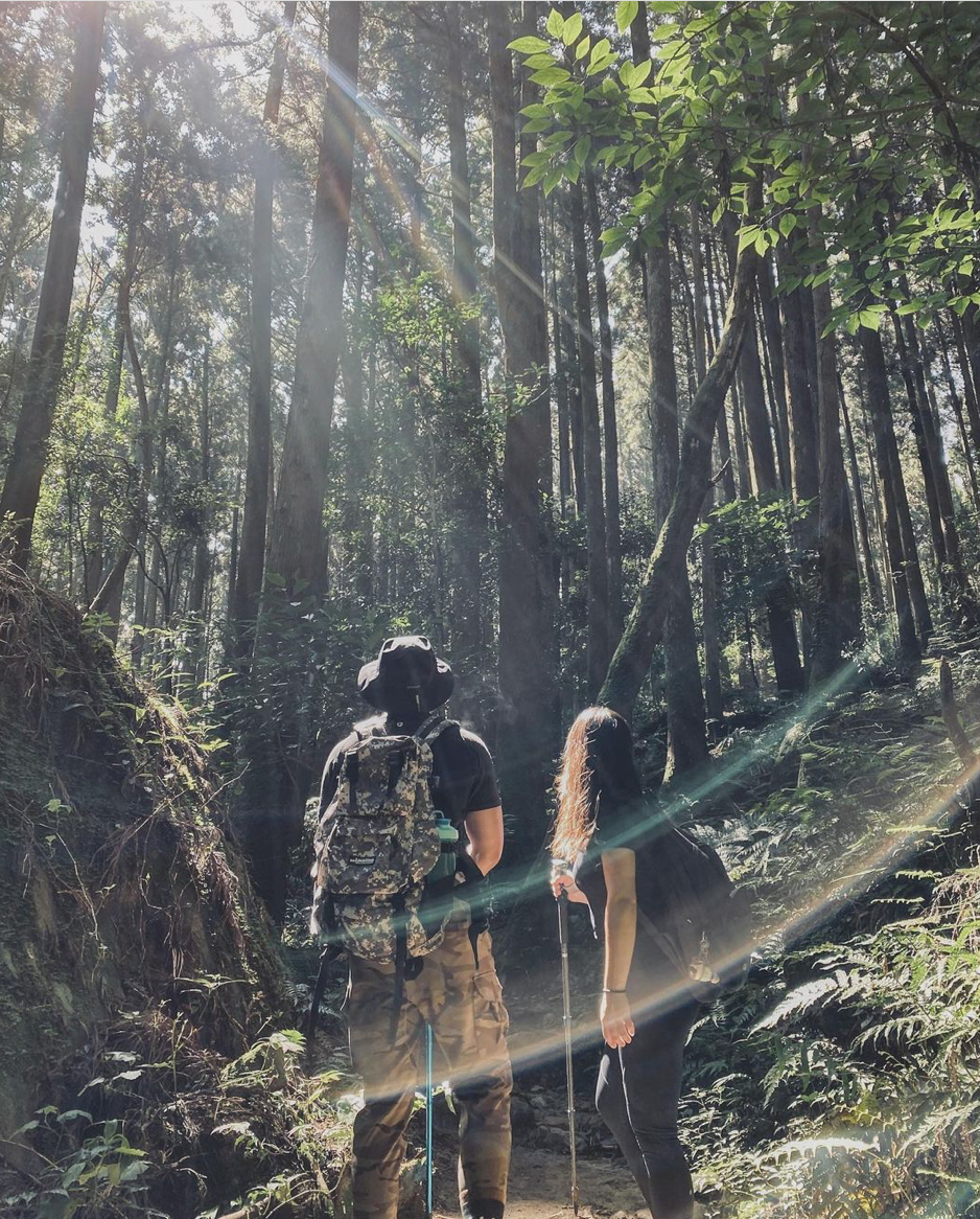 ▲台灣中級山路線推薦-苗栗加里山登山步道。 （圖／jocelyn_620, Instagram）