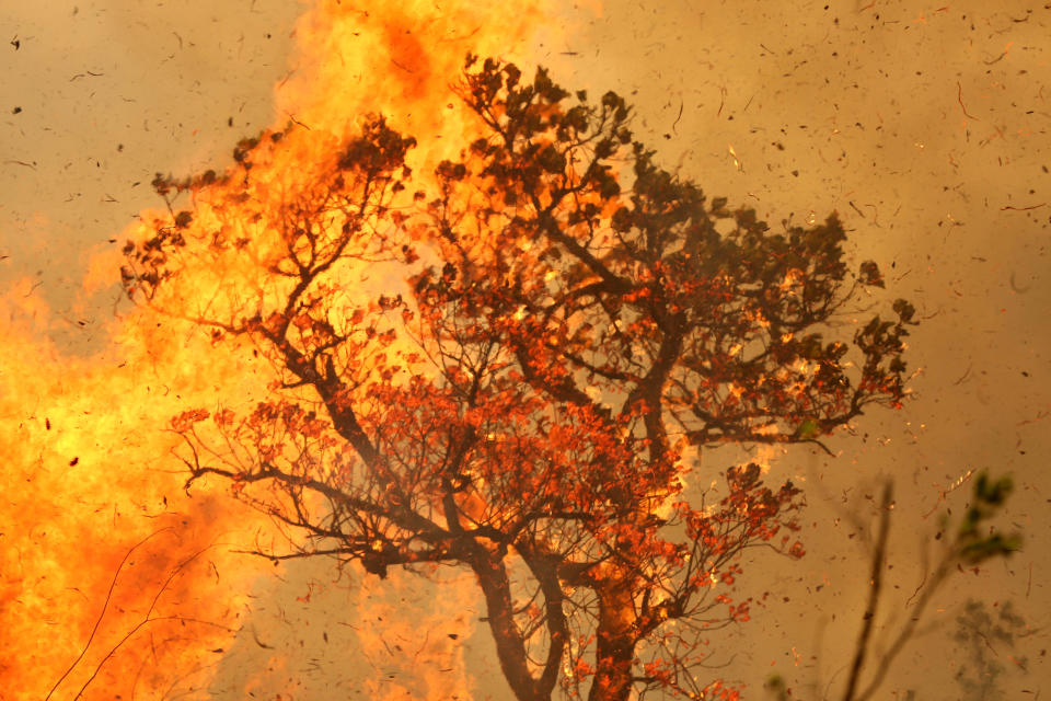 Image: A tract of the Amazon jungle burns on the Tenharim Marmelos indigenous land in Brazil on Sept. 15, 2019. (Bruno Kelly / Reuters file)