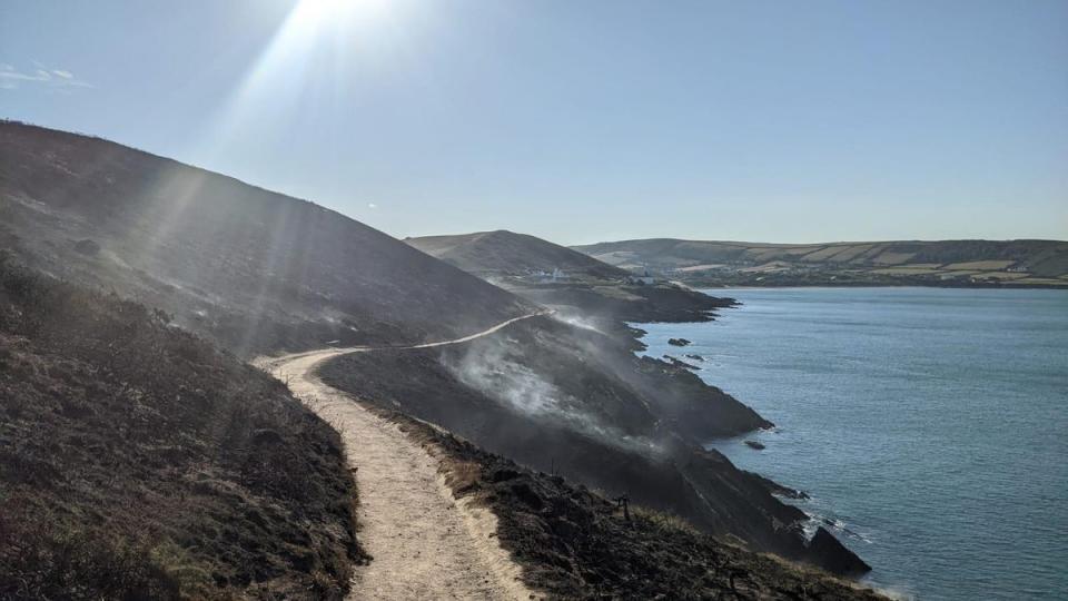 The impact of a fire at Baggy Point in Devon in September (Paul South)