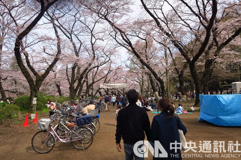 日本政府正檢討調降新冠肺炎分類等級等同於季節性流感，時間點可能落在5月黃金週長假前後，但前提是沒有新的危險變異株流行。（中央社／檔案照片）